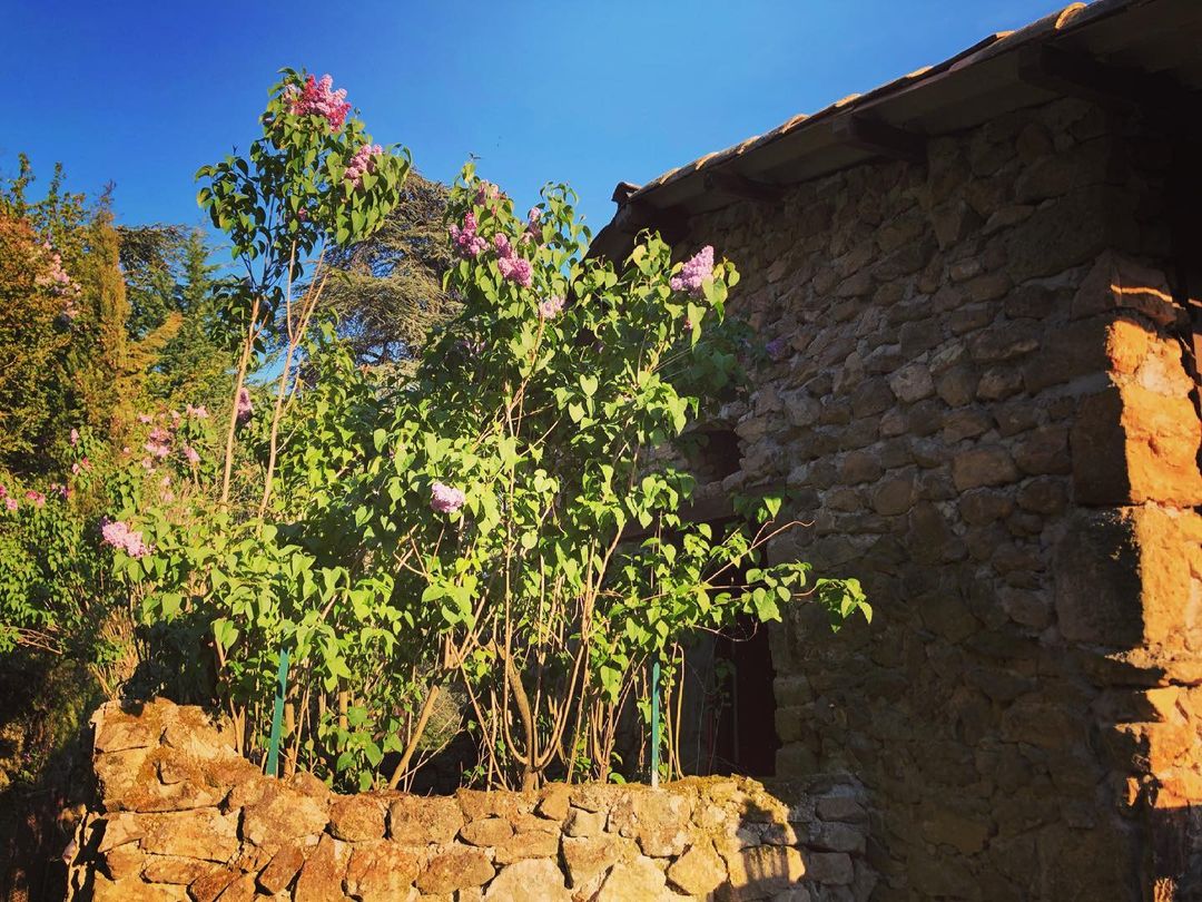 La chataîgne perchée : Gîte le Cèdre en ardèche