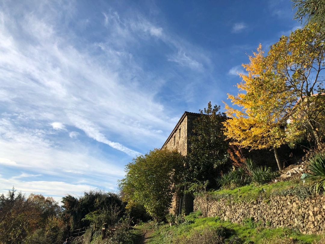 Photo by La chataigne perchée on January 06, 2021. May be an image of nature, tree and sky.